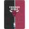 NBA Chicago Bulls Canvas Apple iPad Air Skin