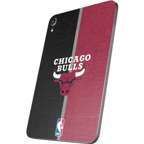 NBA Chicago Bulls Canvas Apple iPad Mini Skin