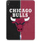 NBA Chicago Bulls Canvas Apple iPad Pro Skin