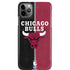 NBA Chicago Bulls Canvas iPhone Cases