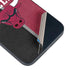 NBA Chicago Bulls Canvas iPhone Skins