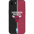 NBA Chicago Bulls Canvas iPhone 16e Skin