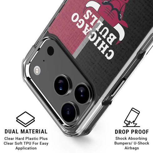 NBA Chicago Bulls Canvas iPhone 18 Pro Clear Case