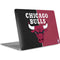 NBA Chicago Bulls Canvas Apple MacBook Air Skin