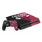 NBA Chicago Bulls Canvas PlayStation PS4 Skins