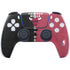 NBA Chicago Bulls Canvas PlayStation PS5 Skins
