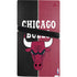 NBA Chicago Bulls Canvas PS5 Pro Console Skin