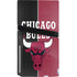 NBA Chicago Bulls Canvas PS5 Pro Disk Console Skin