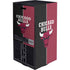 NBA Chicago Bulls Canvas XBox Series X Digital Edition Bundle Skin