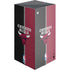 NBA Chicago Bulls Canvas Xbox Series X Skins