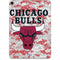 NBA Chicago Bulls Digi Camo Apple iPad Pro Skin