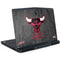 NBA Chicago Bulls Hardwood Classics Dell Alienware Skin
