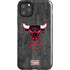 NBA Chicago Bulls Hardwood Classics iPhone Cases