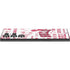 NBA Chicago Bulls Historic Blast Galaxy Skins