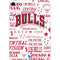 NBA Chicago Bulls Historic Blast Apple iPad Mini Skin