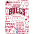 NBA Chicago Bulls Historic Blast Apple iPad Mini Skin