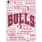 NBA Chicago Bulls Historic Blast Apple iPad Pro Skin