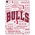 NBA Chicago Bulls Historic Blast Apple iPad Pro Skin