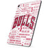 NBA Chicago Bulls Historic Blast Apple iPad Pro Skin