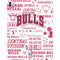 NBA Chicago Bulls Historic Blast iPad Pro 13in M4 (2024) Skin