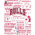 NBA Chicago Bulls Historic Blast iPad Pro 13in M4 (2024) Skin