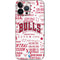 NBA Chicago Bulls Historic Blast iPhone 15 Pro Max Skin