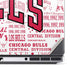 NBA Chicago Bulls Historic Blast Dell Precision Skin