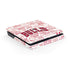 NBA Chicago Bulls Historic Blast PlayStation PS4 Skins