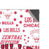 NBA Chicago Bulls Historic Blast XBox Series X Digital Edition Console Skin