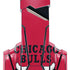 NBA Chicago Bulls Large Logo BENGOO G9000 Skin