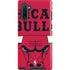 NBA Chicago Bulls Large Logo Galaxy Cases