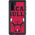 NBA Chicago Bulls Large Logo Galaxy Cases