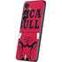 NBA Chicago Bulls Large Logo Galaxy S25 Skin