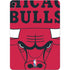 NBA Chicago Bulls Large Logo Apple iPad Air Skin