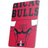 NBA Chicago Bulls Large Logo Apple iPad Air Skin
