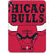 NBA Chicago Bulls Large Logo Apple iPad Pro Skin