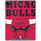 NBA Chicago Bulls Large Logo iPad Cases