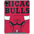NBA Chicago Bulls Large Logo iPad Cases