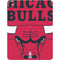NBA Chicago Bulls Large Logo iPad Pro 13in M4 (2024) Skin
