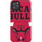 NBA Chicago Bulls Large Logo iPhone Cases