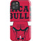NBA Chicago Bulls Large Logo iPhone Cases