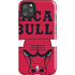 NBA Chicago Bulls Large Logo iPhone Cases
