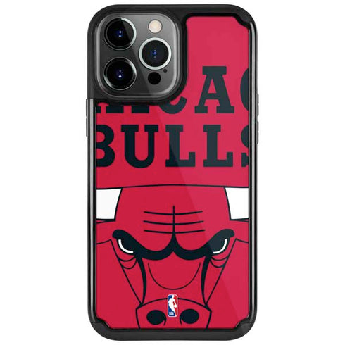 NBA Chicago Bulls Large Logo iPhone Cases