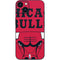 NBA Chicago Bulls Large Logo iPhone Skins