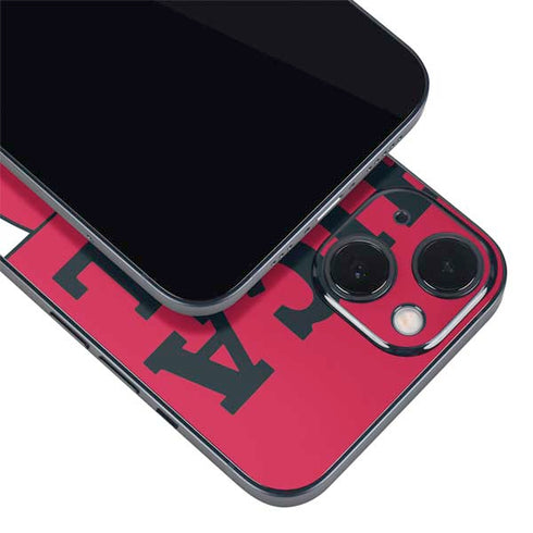 NBA Chicago Bulls Large Logo iPhone Skins