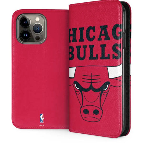 NBA Chicago Bulls Large Logo iPhone Cases