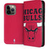 NBA Chicago Bulls Large Logo iPhone Cases