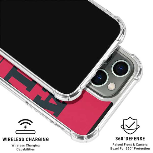 NBA Chicago Bulls Large Logo iPhone 16 Pro Max Clear Case