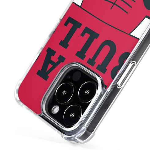 NBA Chicago Bulls Large Logo iPhone 16 Pro Max MagSafe Case