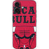 NBA Chicago Bulls Large Logo iPhone 16 Skin